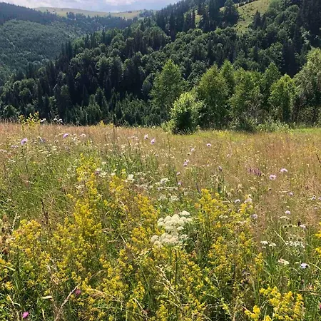 едем Guest house Verkhovyna