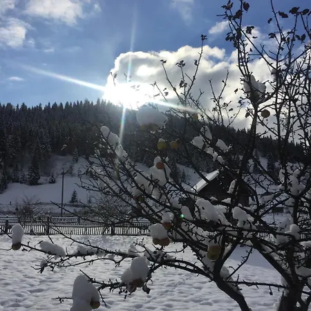 Guest house едем Verkhovyna