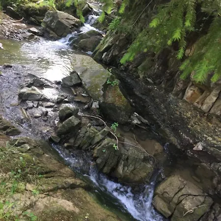 Guest house едем *