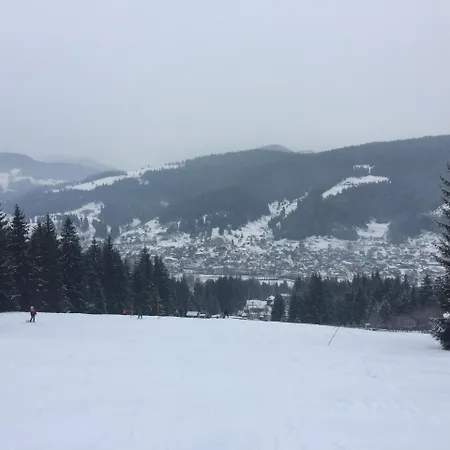 Guest house едем *