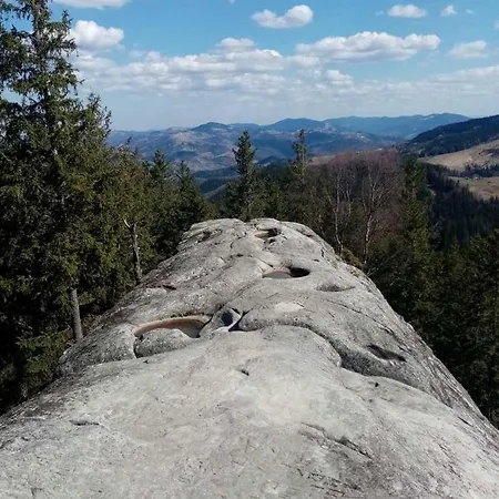 Guest house едем