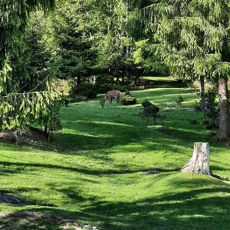 בית הארחה едем ורחובינה
