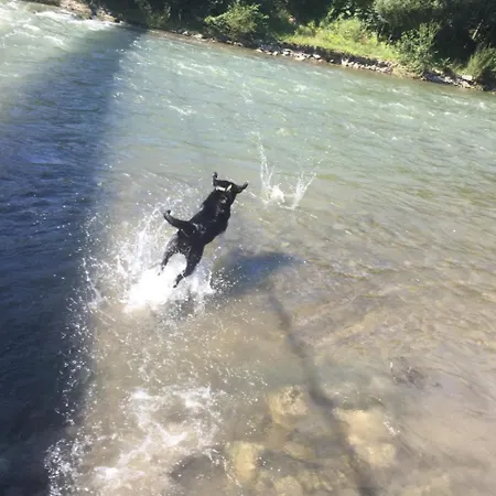 בית הארחה едем