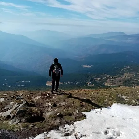 בית הארחה едем *