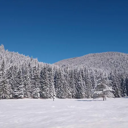 едем בית הארחה *