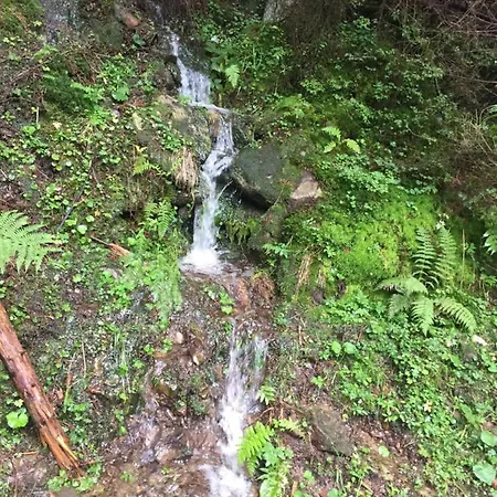 בית הארחה едем *